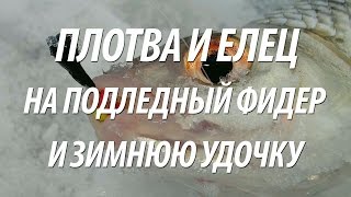 ПЛОТВА И ЕЛЕЦ ЗИМОЙ НА ПОДЛЕДНЫЙ ФИДЕР И ЗИМНЮЮ УДОЧКУ с НОРМУНДОМ ГРАБОВСКИСОМ