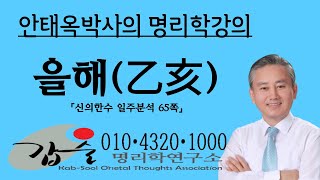 을해(乙亥)일주분석1-(신의한수 일주분석65쪽)-갑술명리학-안태옥박사의 명리강의