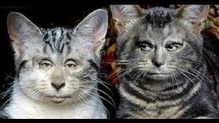 Упоротые ночи на Tydysh.TV #3