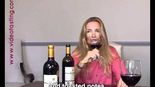 AOC Côtes de Bordeaux Blaye - Château Montfollet le Valentin - Châteaux Solidaires