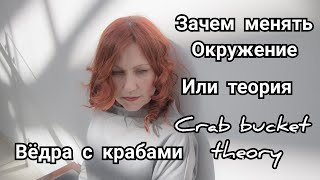 Цикл Передач "Слушаем"  Тема N10: "Зачем менять окружение? Или теория Сrab bucket theory.
