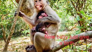 Welcome to new baby just born at the moment Mum keeps Placenta Mila Group