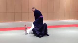 KOKODO JUJUTSU 2017 WORLD TAIKAI - TOKYO