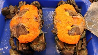 EGGS CRAB AT ZHUWEI FISH MARKET