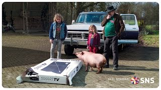 SNS commercial “TV met aankoopverzekering” | Heel Normaal