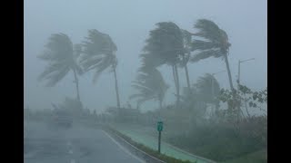 CNN Live Stream Now HD - Hurricane Irma Live Update Latest News | Hurricane Irma Live in real-time