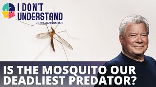 IDU: Why the mosquito is our deadliest predator?