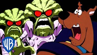 Scooby-Doo! en Français | ALIENS!