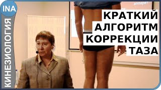 КРАТКИЙ АЛГОРИТМ ЛЕЧЕНИЯ ТАЗА. Проф. Л.Ф.Васильева. Кинезиология в Германии