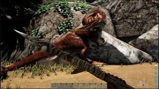 Giant sleeping lizard eats me in Ark Survival Evolved: Ragnarok