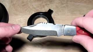 DCR-250, Close up video