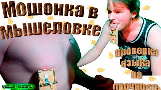 ЯЗЫК В МЫШЕЛОВКЕ/МОШОНКА В МЫШЕЛОВКЕ/SCROTUM IN MOUSETRAP  - О/Ф 11