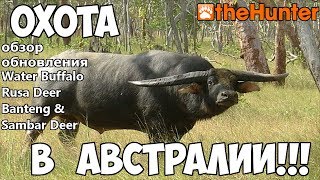 theHunter Classic - Охота в Австралии. Обзор обновления!