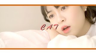 [M/V] 고양이C A T - snow x yundal ll [Cover ver.] (선우정아_CAT_feat.IU)