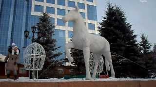 Лошади в центре города! horse, cheval, cavallo, caballo