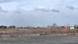 2013 12 22 T REX150 test