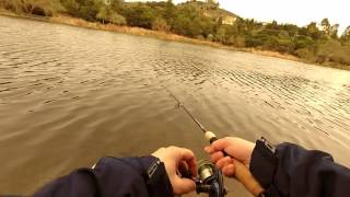 Bobber Slappers #4