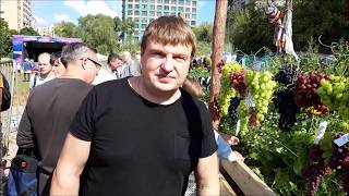 5-я клубная выставка винограда в Аптекарском огороде 7 сентября 2019 года