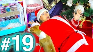 ДЕД МОРОЗ ПРИШЁЛ - НОВОГОДНИЙ #19 КОНКУРС | Elli Di Pets