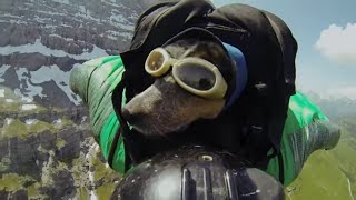 Dean Potter, The Man Who Flew With His Dog