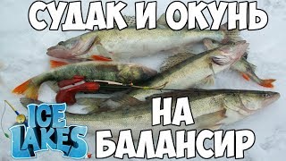 Ice Lakes - Судак и окунь со льда. Зимняя рыбалка с подписчиками.