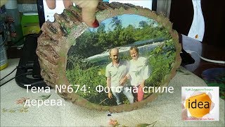 Фото на спиле дерева