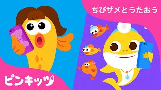 もしもし　せんせい　たいへんです！！???????? | コンブで　ジャンプ | 病院ごっこ | ちびザメと歌おう | ベイビーシャーク | ピンキッツ！