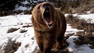 фобии, ОКР, ВСД, дереализация, когнитивная психотерапия через скайп психолог Левченко