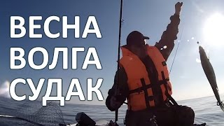 Ловля судака на джиг весной