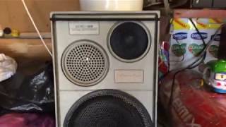 Акустическая система 25ас-109. Динамики Asalab
