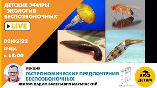 Лекция Вадима Марьинского "Гастрономические предпочтения беспозвоночных"