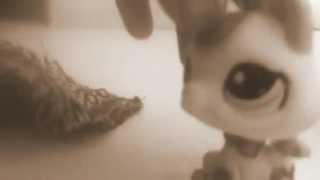 LPS:Skyfall (Adele)
