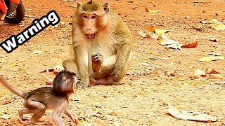 Run...Run Alba This Big Monkey Try o Attack You|So Pity Poor Baby Alba Cry Scare Run Escape Big Male