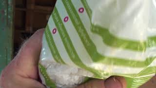 Полезна ли соль голубям?