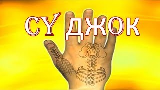 Как правильно применять Су-Джок массаж для лечения