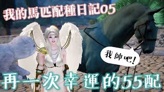 我的馬匹配種日記05-再一次幸運的55配  我在黑沙看馬交配【默默的遊玩時間】