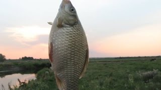 Рыбалка карася весной на удочку, рыбалка на поплавочную удочку, ловля карася,