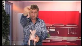Канадский сфинкс