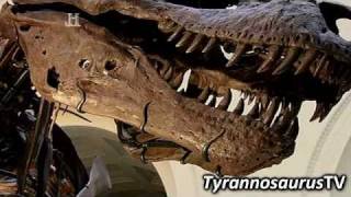 Evolve - T. REX Jaws