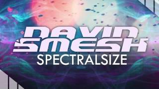 David Smesh - Stay ft. Steklo (Original Mix)