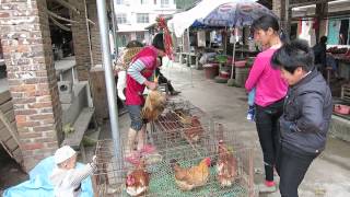 Woman buys a chicken at rural market on China Backroads Day 5, near Changwu, China, 2014-05-15