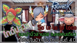 #ไกด์ปะวะ แรคมือถือไม่ถือก็วางไว้ บิ้วอัลเคมิส โซโล โล โล โล่ หอคอย ล่าบอส อัพเดดประเทศไทยวัยทีน 4.0