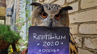 Reptilium 2020 билеты для Свидетелей Фублина. Угу!