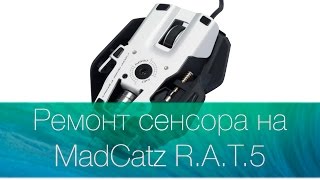 Как починить сенсор на игровой мышке RAT5