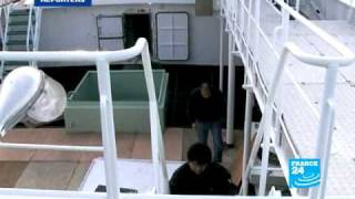 Blufin tuna fishing continues in Japan