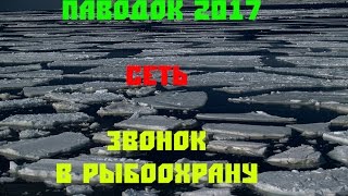 Паводок 2017 река Быстрая Сосна   Сеть ЗВОНОК В РЫБООХРАНУ