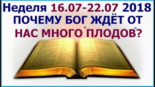 Неделя 16-22 июля 2018 г.: об обильном духовном плодоношении
