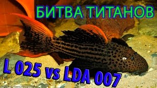 L025 vs LDA007