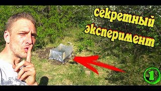 ПОСТРОИЛ ТЕПЛИЧКУ НА ЗАБРОШЕННОМ УЧАСТКЕ!!!