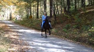 kim riding razz